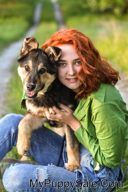 Ad Image